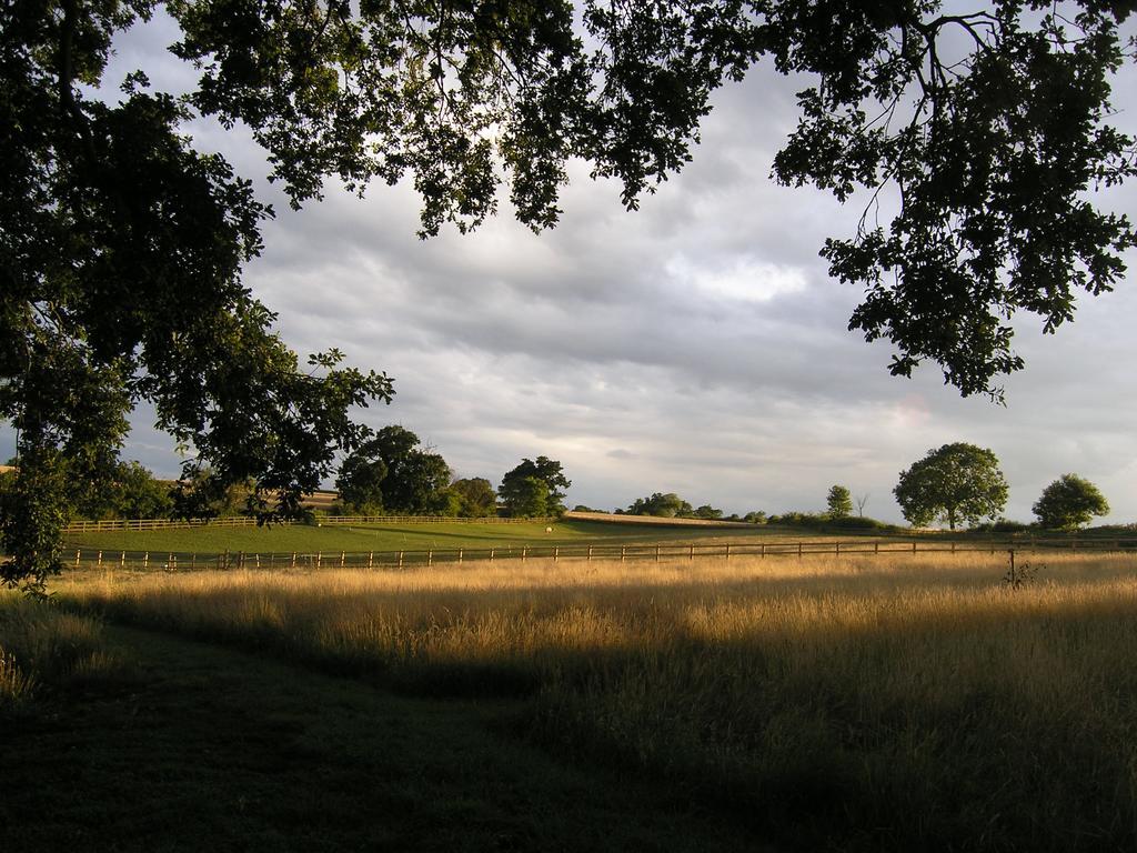 Oak Tree Farm Panzió Yoxford Kültér fotó